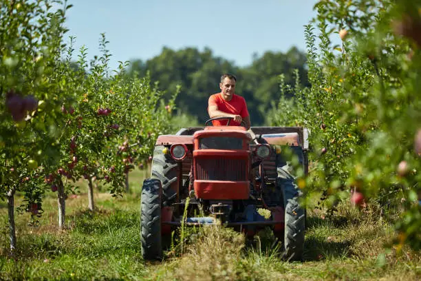 Cultivateur Roumain