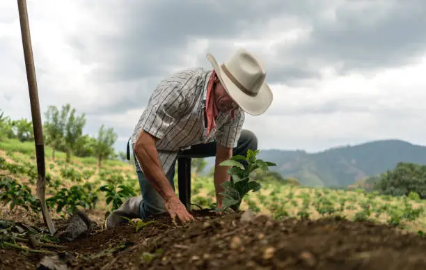 Ouvrier Agricole Roumain