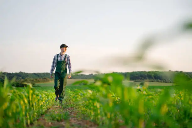 agriculteur roumain