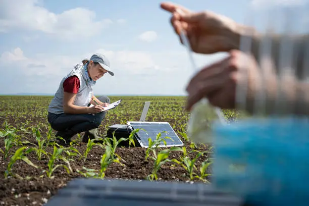 ingénieur agronome roumain