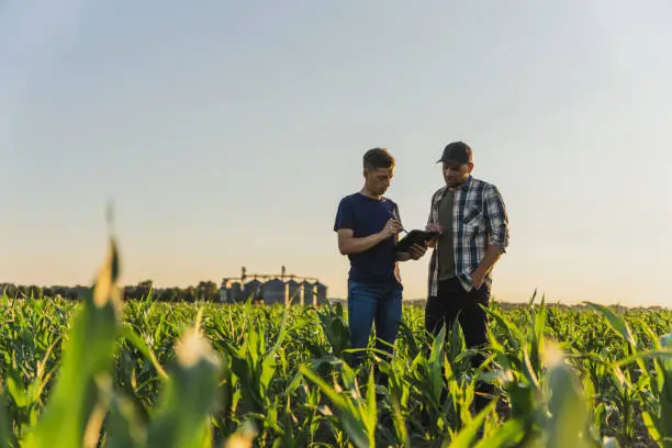 ingénieur agronome roumain