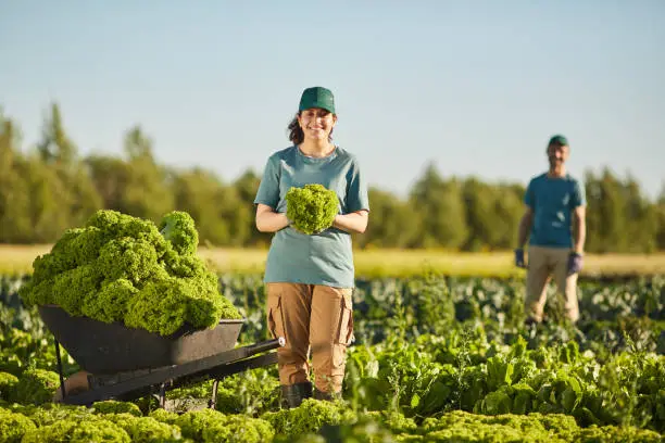 Ouvrier Agricole Roumain